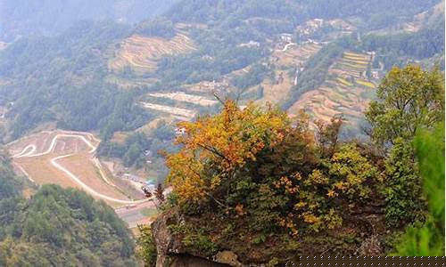 利川苏马荡天气预报24小时_利川苏马荡天气