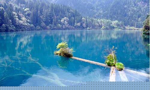 成都九寨沟天气预报30天查询_成都九寨沟天气