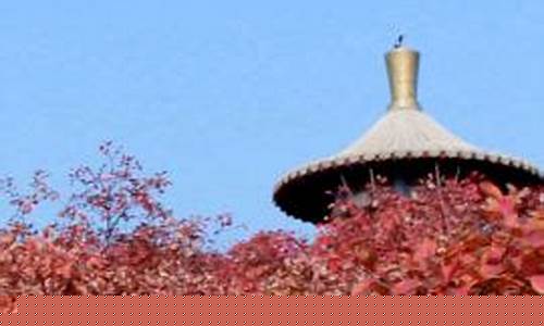 桐柏天气预报30天查询_桐柏天气预报30天查询i