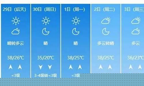 聊城一周天气预报15天查询系统最新消息新闻信息_查看聊城一周天气