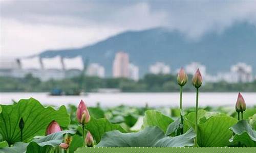 天津未来一周天气预报情况_天津未来一周天气预报