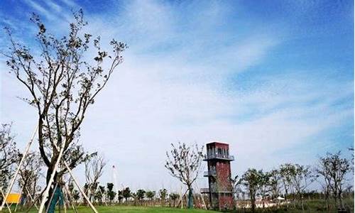 浦东南汇天气预报一周7_南汇 天气预报