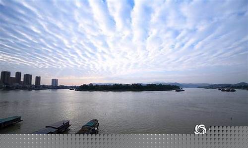 横县天气预报15天查询百度_横县天气
