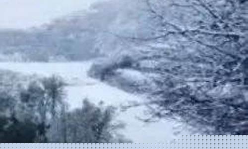 志丹天气_志丹天气预报