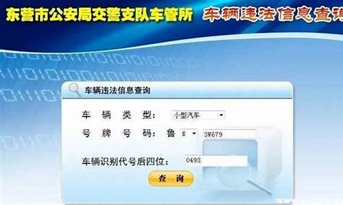 如何查别人车辆违章记录查询_车辆违章记录查询