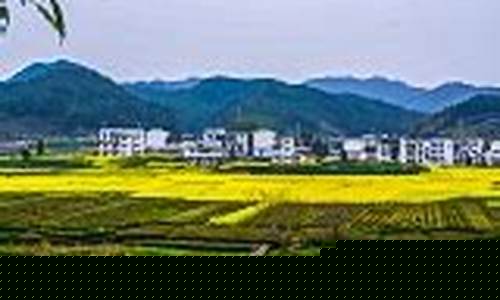 高安市天气预报一_高安市天气预报