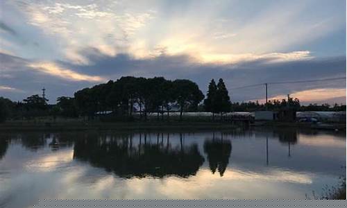 奉贤一周天气预报10天最新通知_奉贤天气预报24小时详情