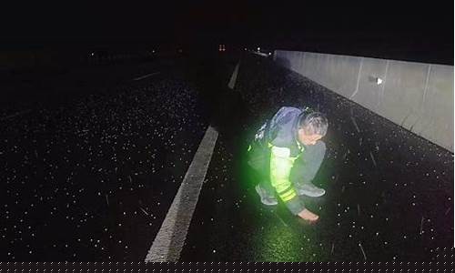 山东聊城一周天气预报七天_山东聊城一周天气预报7天查询结果最新消息