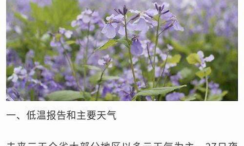 扬州未来一周天气情况分析表最新版_江苏扬州未来一周天气预报