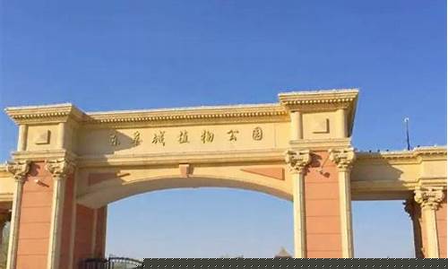 阜城天气_阜城天气预报30天查询