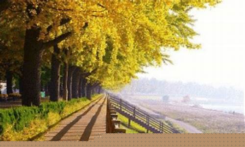 芒市天气预报7天查询穿衣指数_芒市天气预报7天