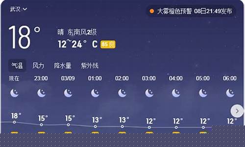 武汉天气实时预报_武汉天气实时