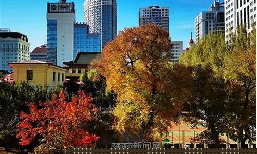 哈市一周天气预报哈市一周详情最新_哈市天气预报一周15天查询结果