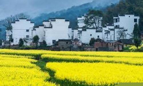 婺源一周天气预报15天天气预报查询结果最新消息_婺源的天气预报15天查询