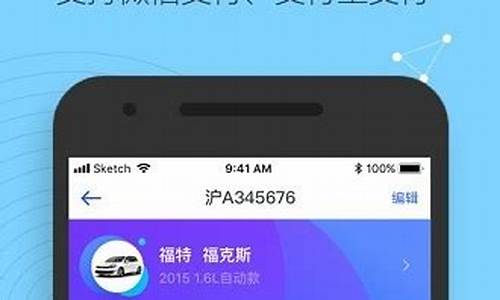 12345交通违章查询_12315交通违章查询