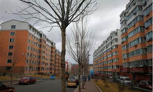 鹤岗为什么没人愿意去_鹤岗为什么被称为鬼城