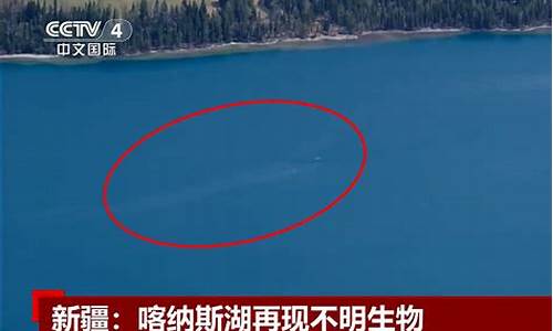 喀纳斯湖水怪完整版_喀纳斯湖水怪
