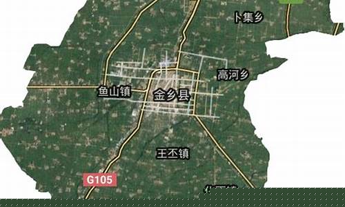 金乡县属于哪个市_金乡县属于哪个地级市