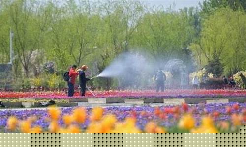 劳动节北京气温_劳动节北京天气